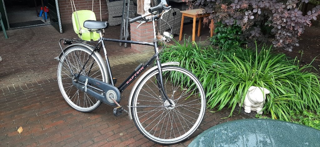 fiets, Versnellingen, Trommelrem, Ophalen, Overige merken