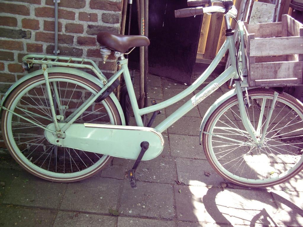 meidenfiets popal terugtraprem 26 inch  50,00, Ophalen of Verzenden, Gebruikt, Terugtraprem, 26 inch of meer