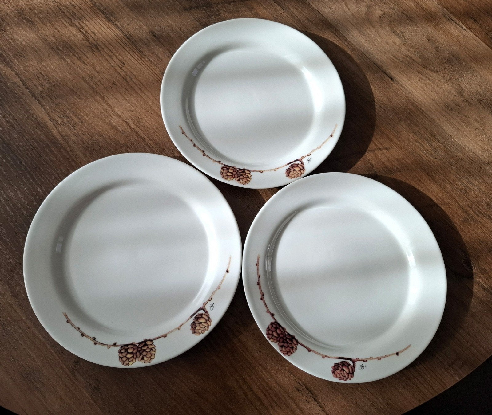 gebaksbordjes Jet, dennenappel, Ophalen of Verzenden, Zo goed als nieuw, Bord(en), Overige stijlen