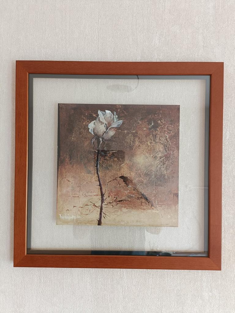 Roos van Heleen Vriesendorp, in glas en kersenhouten lijst, Antiek en Kunst, Kunst | Schilderijen | Klassiek, Ophalen