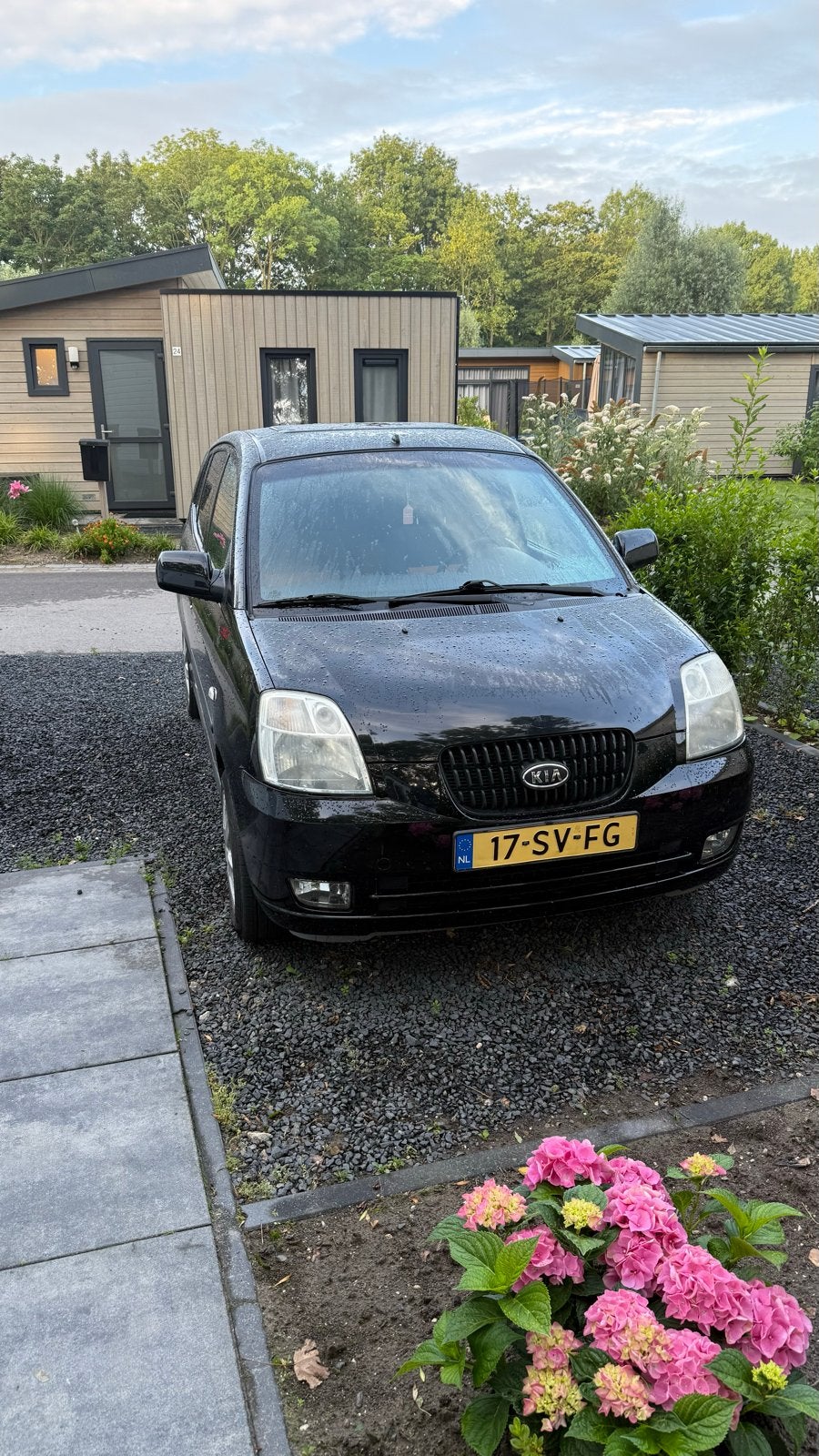 Kia Picanto 1.0 2006 Zwart, Auto's, Voorwielaandrijving, 836 kg, 4 cilinders, 400 kg