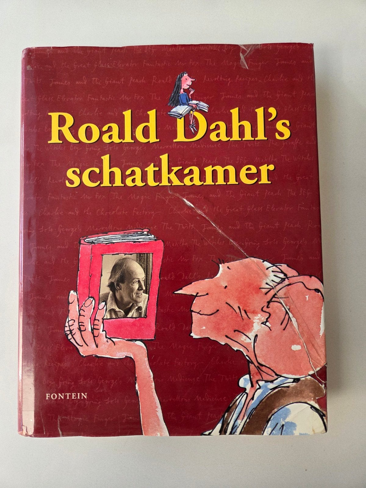 Roald Dahl's Schatkamer - Verhalenbundel, Ophalen of Verzenden, Gelezen, Roald Dahl, Fictie algemeen