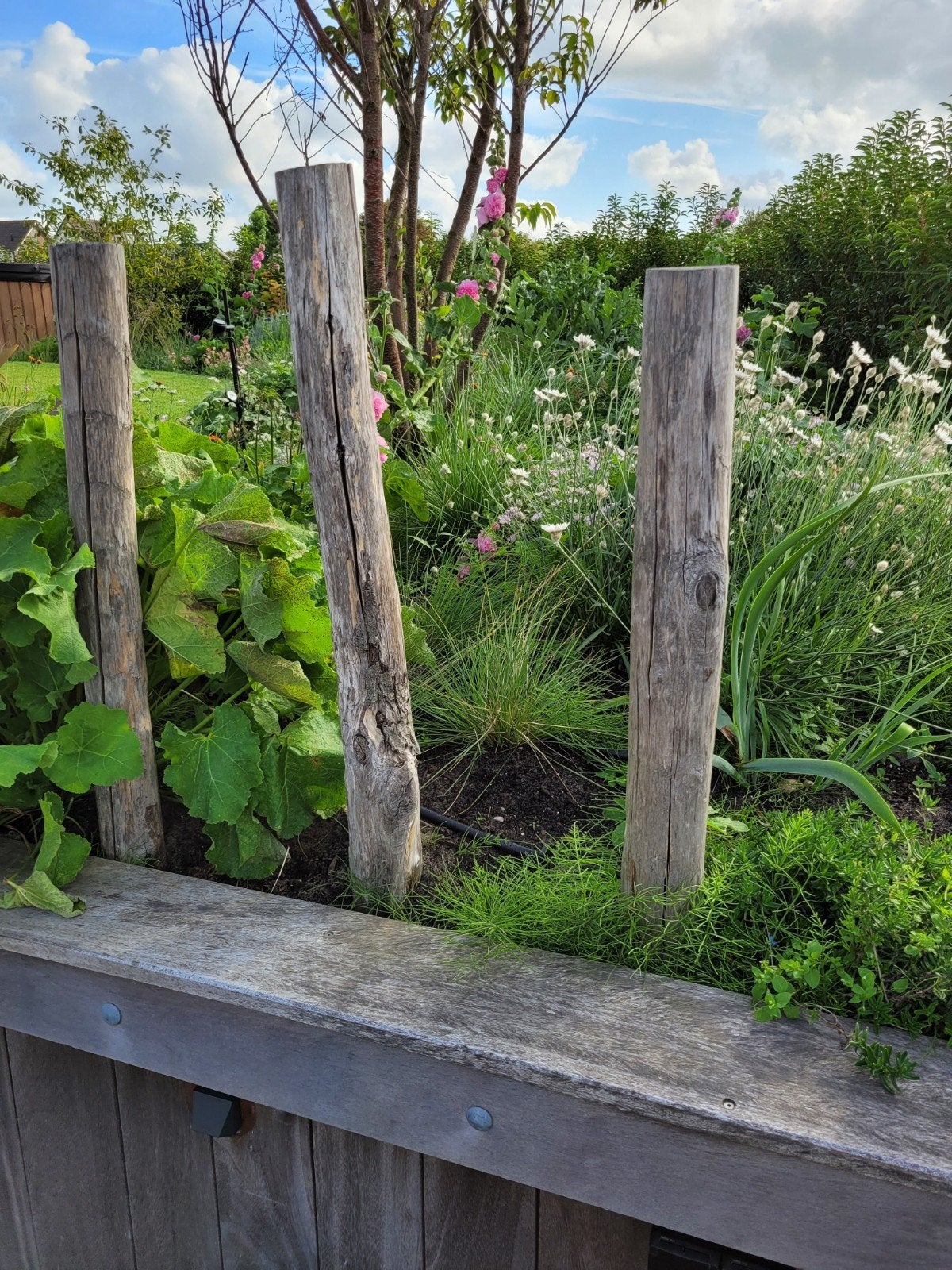 9 gebruikte houten palen voor tuin of afrastering, Ophalen, Gebruikt, 180 tot 250 cm, Palen