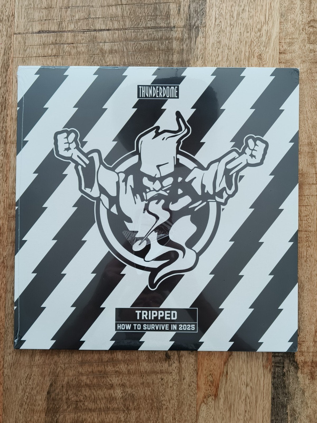 Thunderdome tripped - hoe to survive 2025, Ophalen of Verzenden, 2020 tot heden, 12 inch, Dance Populair