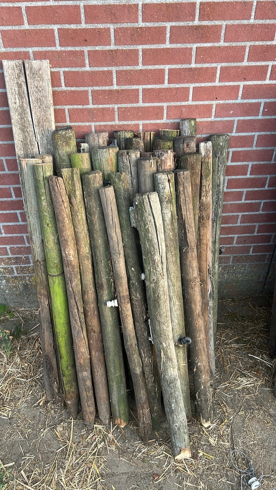 Diverse weidepalen vanaf €1, Tuin en Terras, Palen, Balken en Planken, Ophalen, Gebruikt, Minder dan 180 cm, Palen