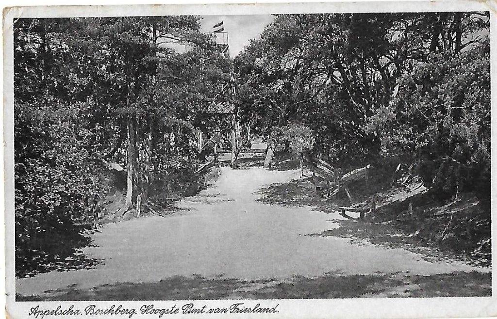 Appelscha Boschberg Ansichtkaart Uit 1941  ( 8346 ), Ophalen of Verzenden, 1940 tot 1960, Gelopen
