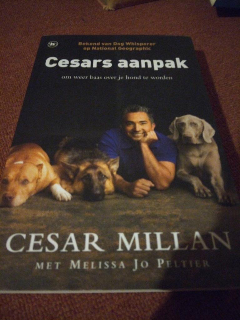 Cesars aanpak: Baas over je hond worden - Cesar Millan, Boeken, Dieren en Huisdieren, Verzenden, Gelezen, Honden, Cesar Millan