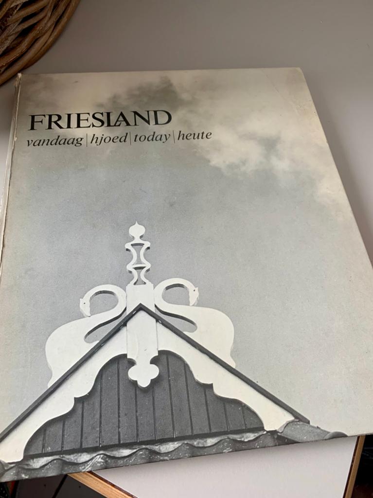 Friesland vandaag/hjoed/today/heute, Ophalen of Verzenden, Gelezen