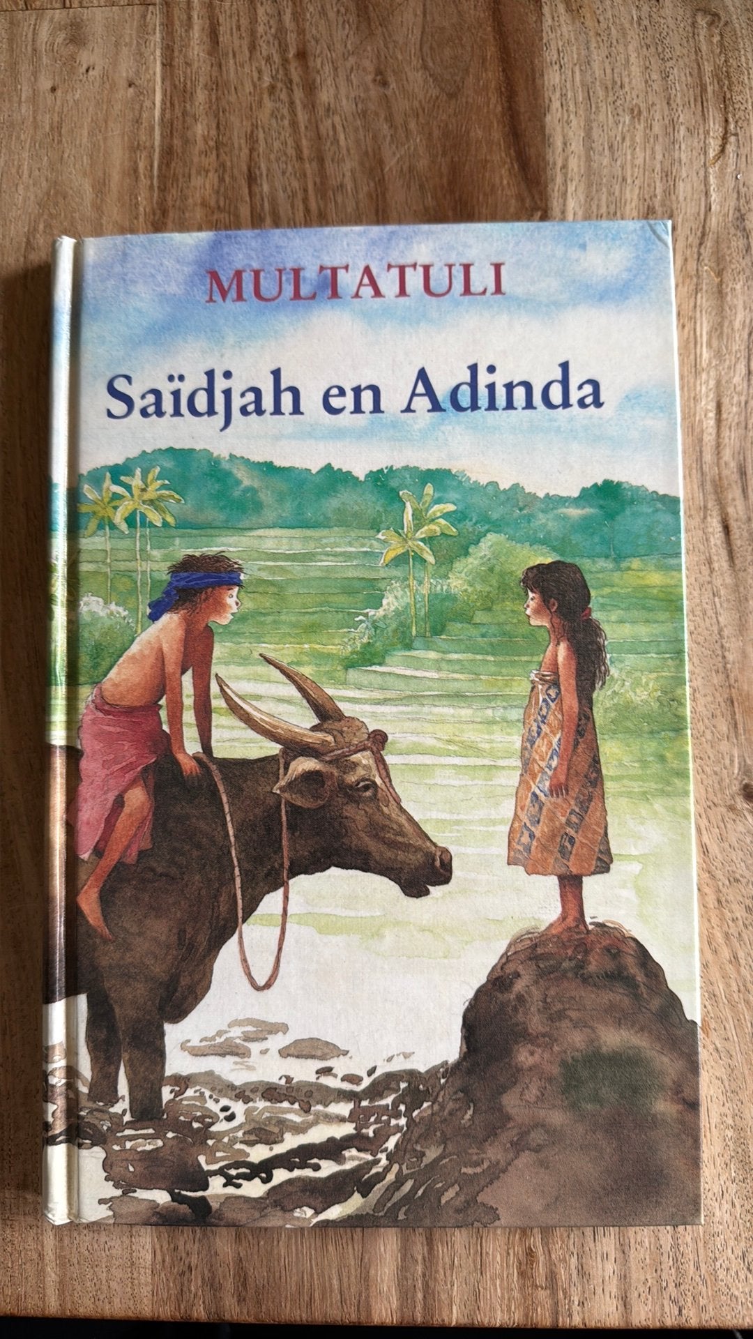Saïdjah en Adinda - Multatuli, Boeken, Ophalen of Verzenden, Nieuw, Nederland