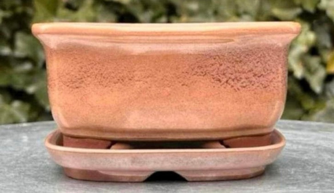 Bonsai schaal + onderzetter bruin tinten geglazuurd 13,9x119, Tuin en Terras, Bloempotten, Nieuw, Ophalen of Verzenden, Aardewerk