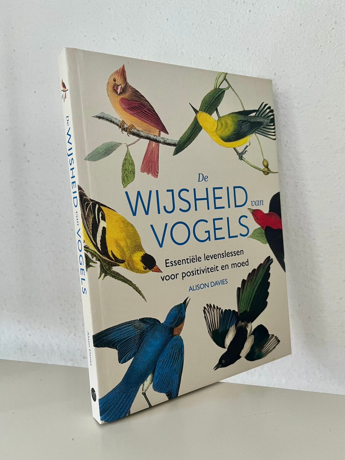 De wijsheid van vogels - Alison Davies - levenslessen, Ophalen of Verzenden, Zo goed als nieuw, Vogels