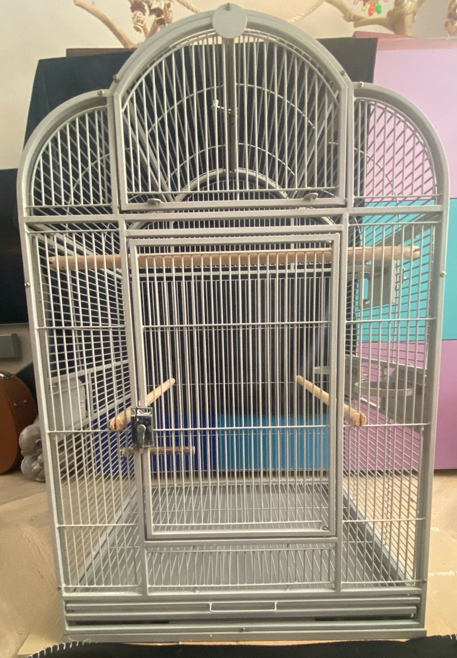 Montana Vogel Kooi Groot Papegaai of meerdere vogels, Ophalen, Gebruikt, Metaal, Vogelkooi