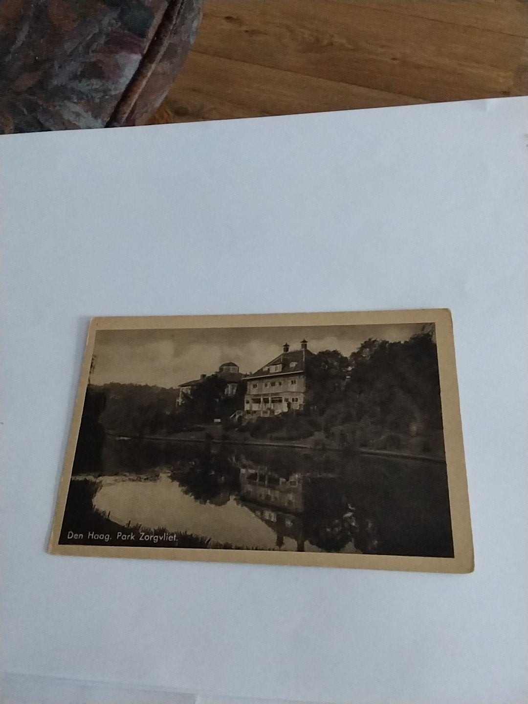 Oude ansichtkaart Den Haag Park Zorgvliet, Ophalen of Verzenden, Voor 1920, Gelopen, Zuid-Holland