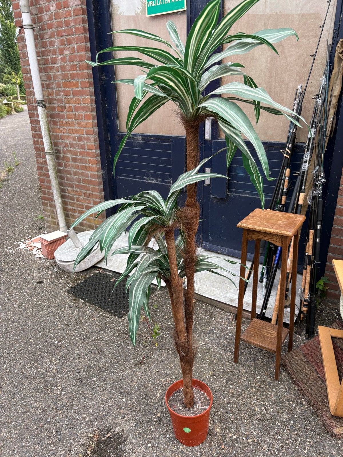 Grote Dracaena plant in pot - kunstplant, Ophalen, Overige soorten, Halfschaduw, In pot