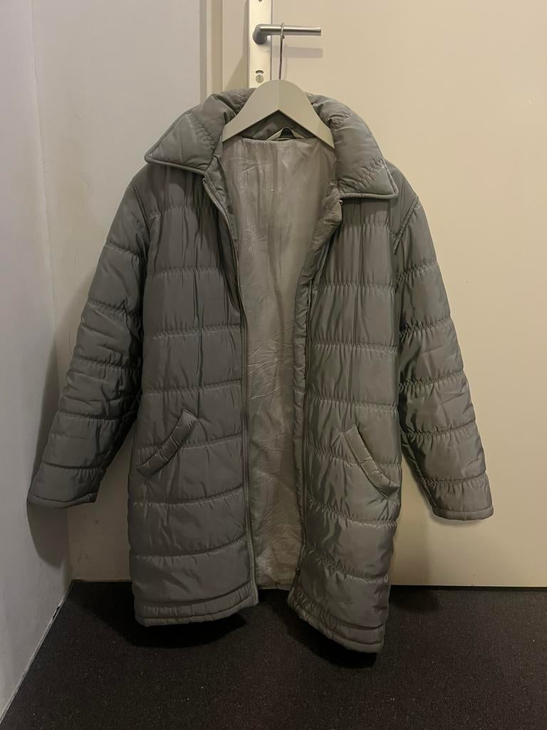 Donna Sofisticata jas, Kleding | Dames, Jassen | Winter, Zo goed als nieuw, Grijs, Ophalen of Verzenden