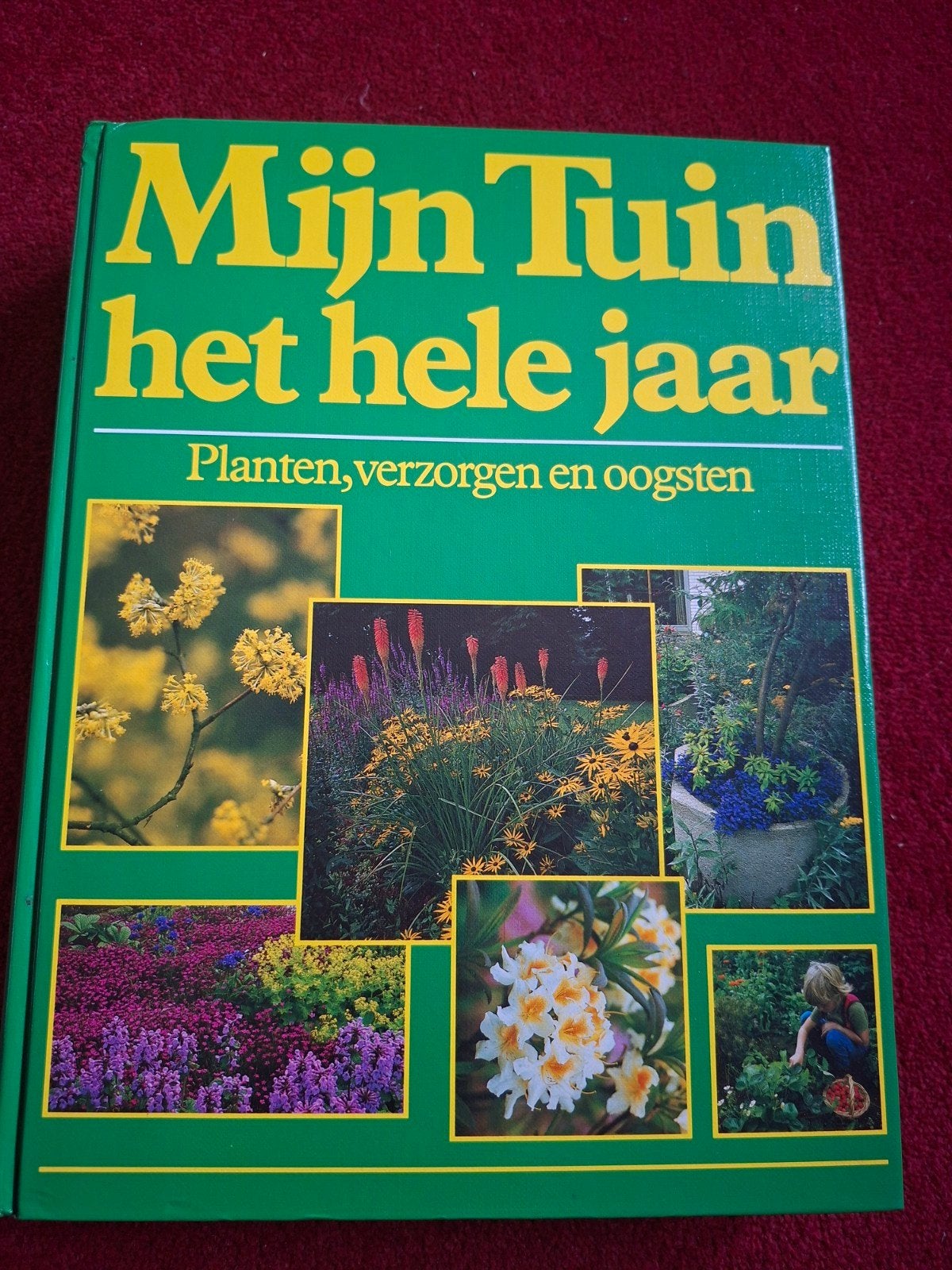 Boek Mijn Tuin het hele jaar, Boeken, Ophalen of Verzenden, Gelezen, Tuinieren en Tuinplanten
