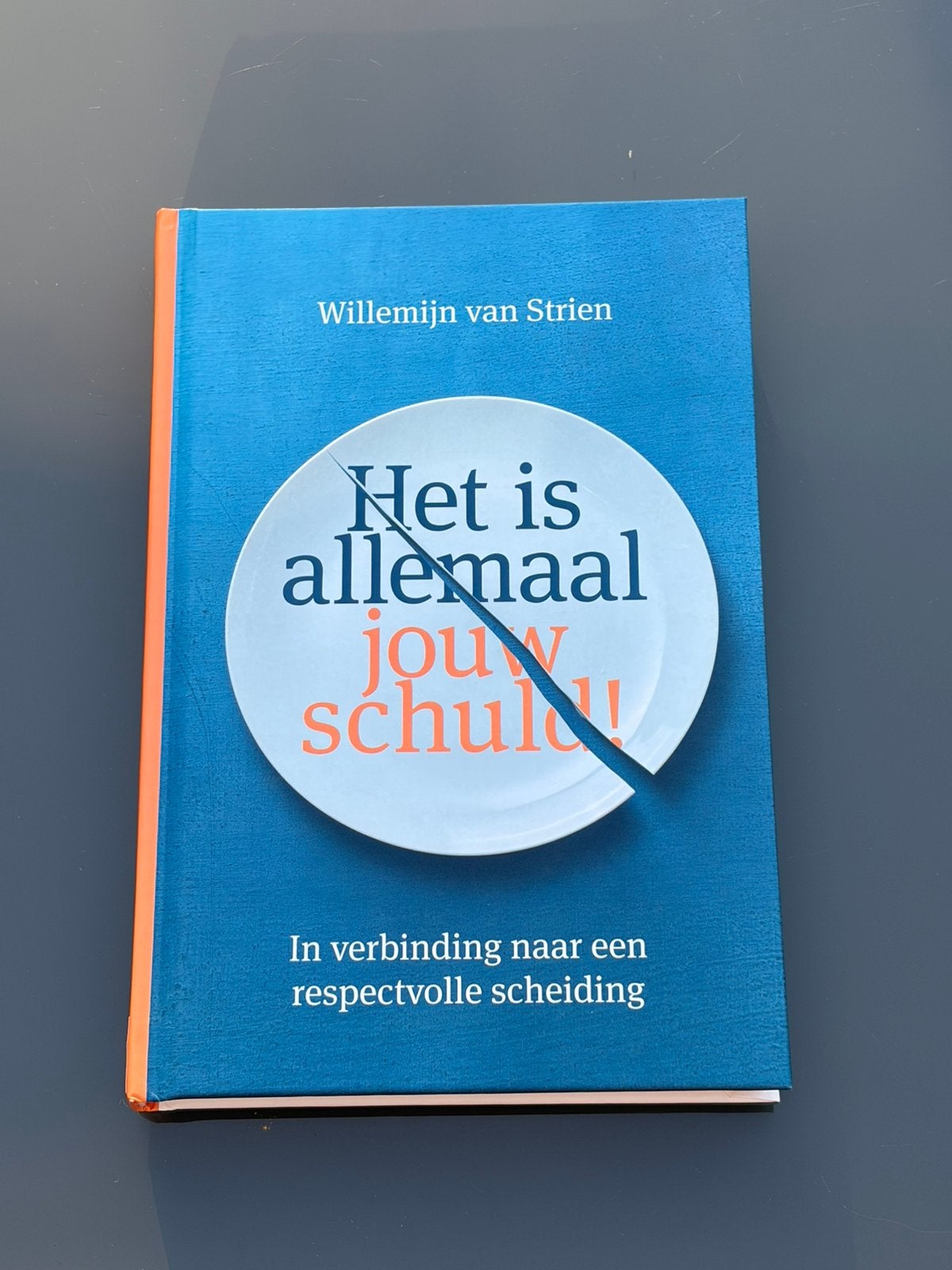 Willemijn van Strien - Het is allemaal jouw schuld!, Ophalen of Verzenden, Zo goed als nieuw, Willemijn van Strien
