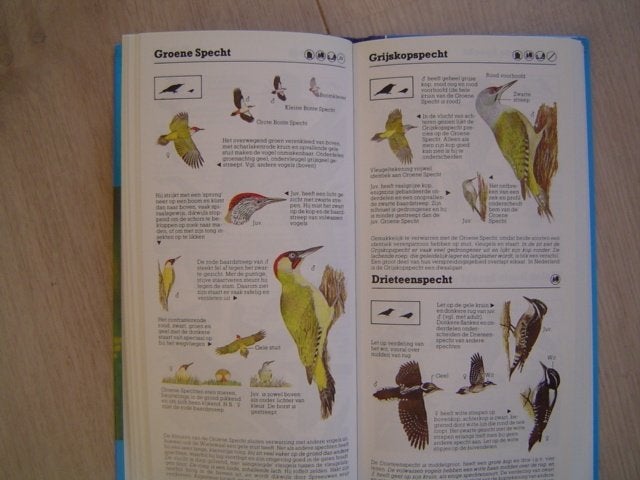 Vogelgids  zakgids vogels, Boeken, Verzenden, Zo goed als nieuw, Vogels