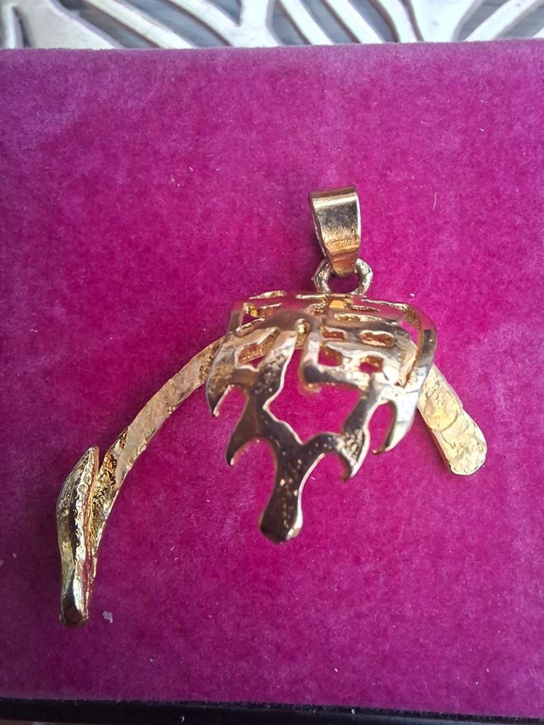 Verguld zilveren hanger geluksbrenger?, Ophalen, Goud, Zilver