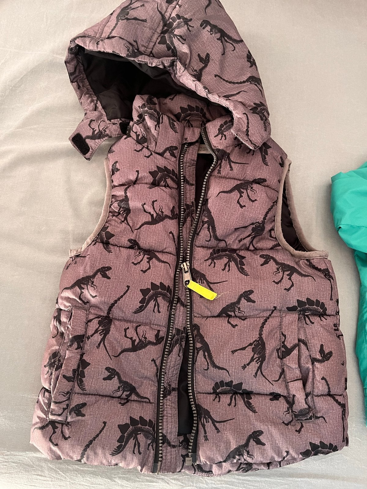 H&M Bodywarmer Dinosaurus - 110 116, Kinderen en Baby's, Kinderkleding | Maat 110, Ophalen of Verzenden, Zo goed als nieuw, Jongen