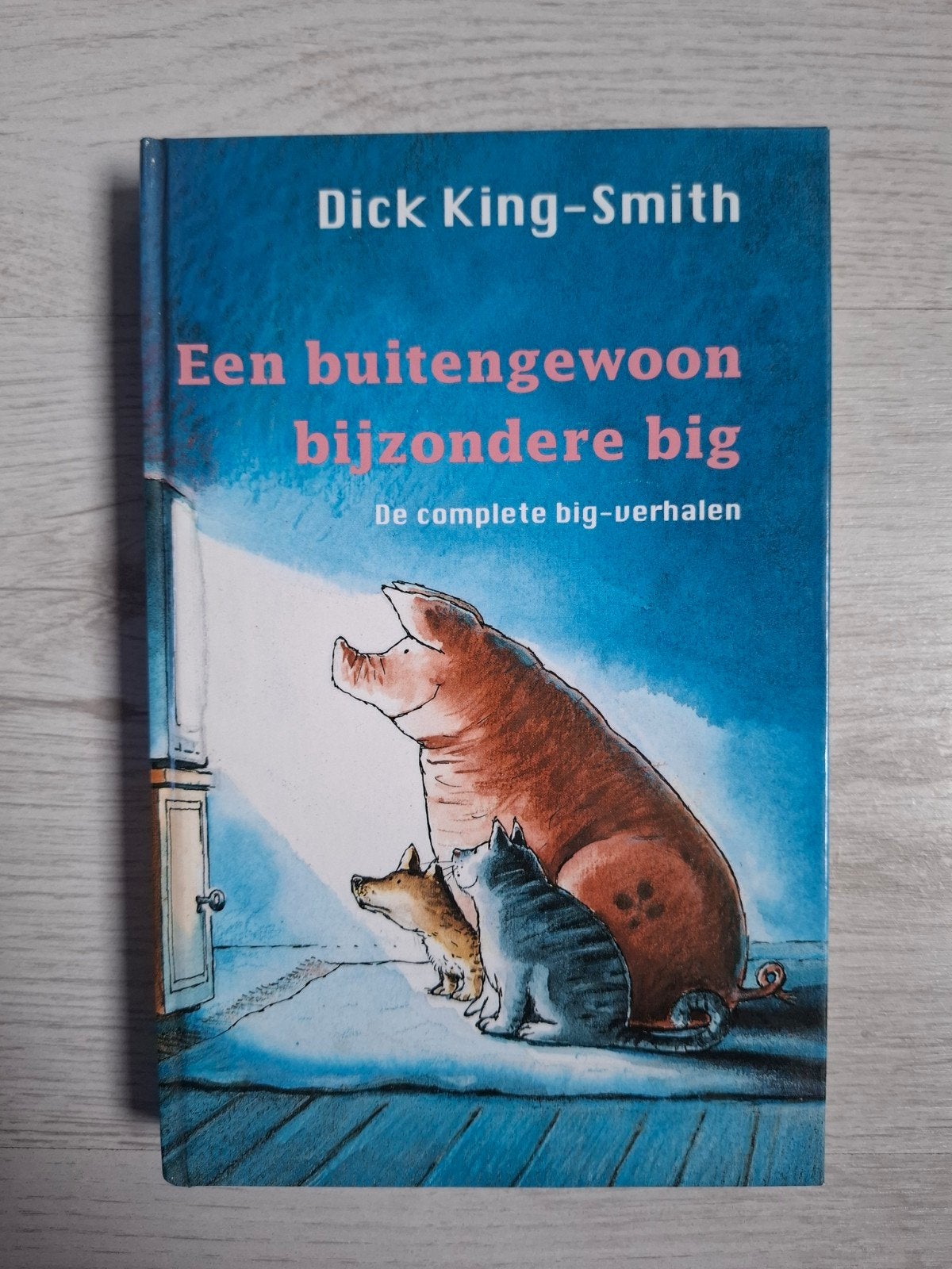 boek een buitengewoon bijzondere big, Ophalen of Verzenden, Sprookjes