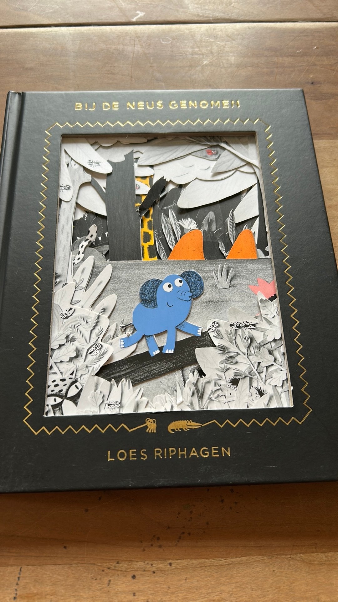 Loes Riphagen Bij de neus genomen, Ophalen of Verzenden, Gelezen, Prentenboek