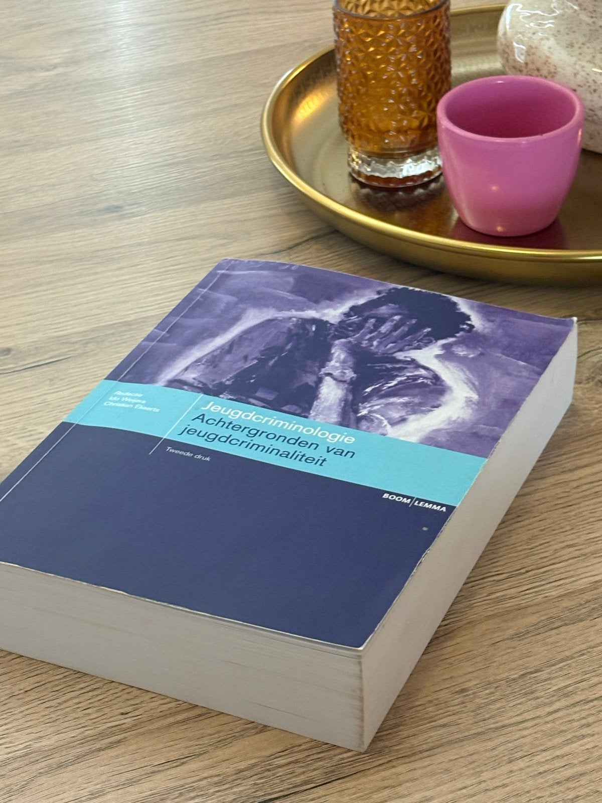Jeugdcriminologie: Achtergronden van jeugdcriminaliteit, Boeken, Ophalen of Verzenden, Gamma, Zo goed als nieuw, WO