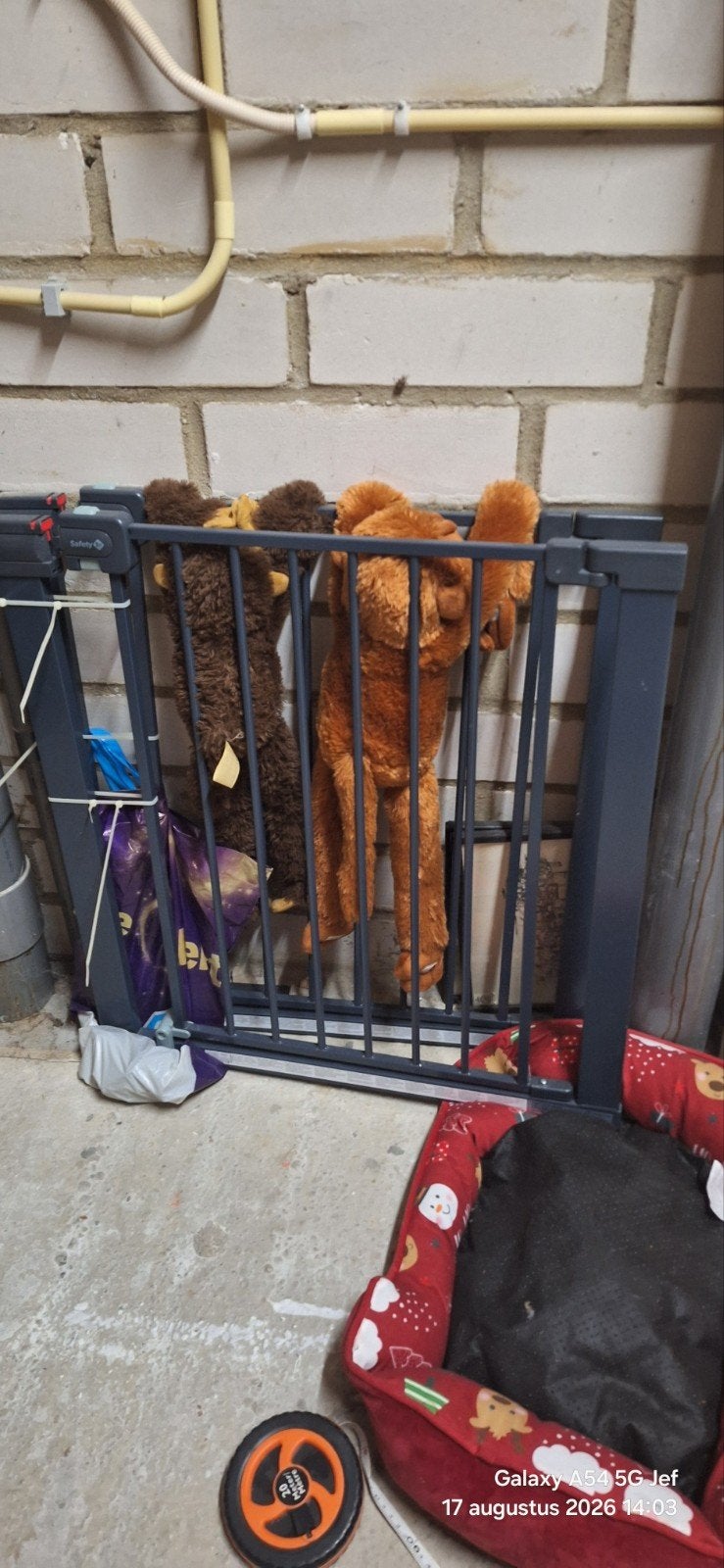 2 Veiligheidshekje voor kinderen of huisdieren, Kinderen en Baby's, Ophalen
