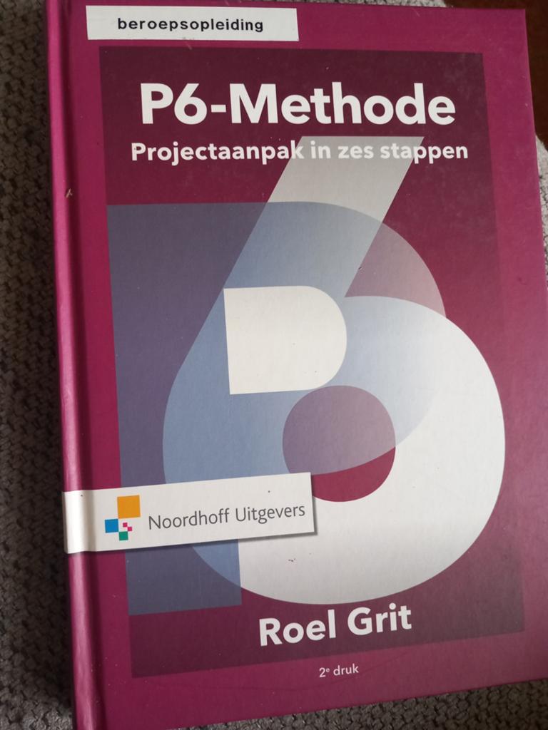 Roel Grit - Projectaanpak in zes stappen, Boeken, Verzenden, Sociale wetenschap, Roel Grit, Zo goed als nieuw
