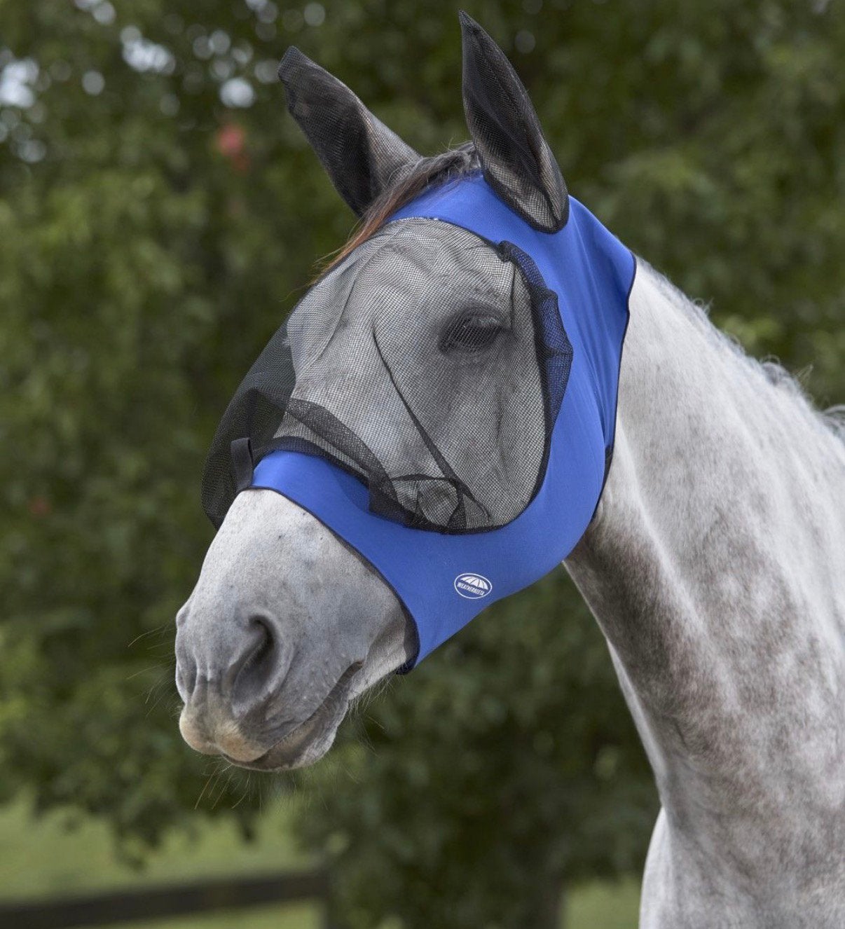 2 Vliegenmasker Weatherbeeta Deluxe Stretch, Ophalen of Verzenden, Nieuw, Overige disciplines