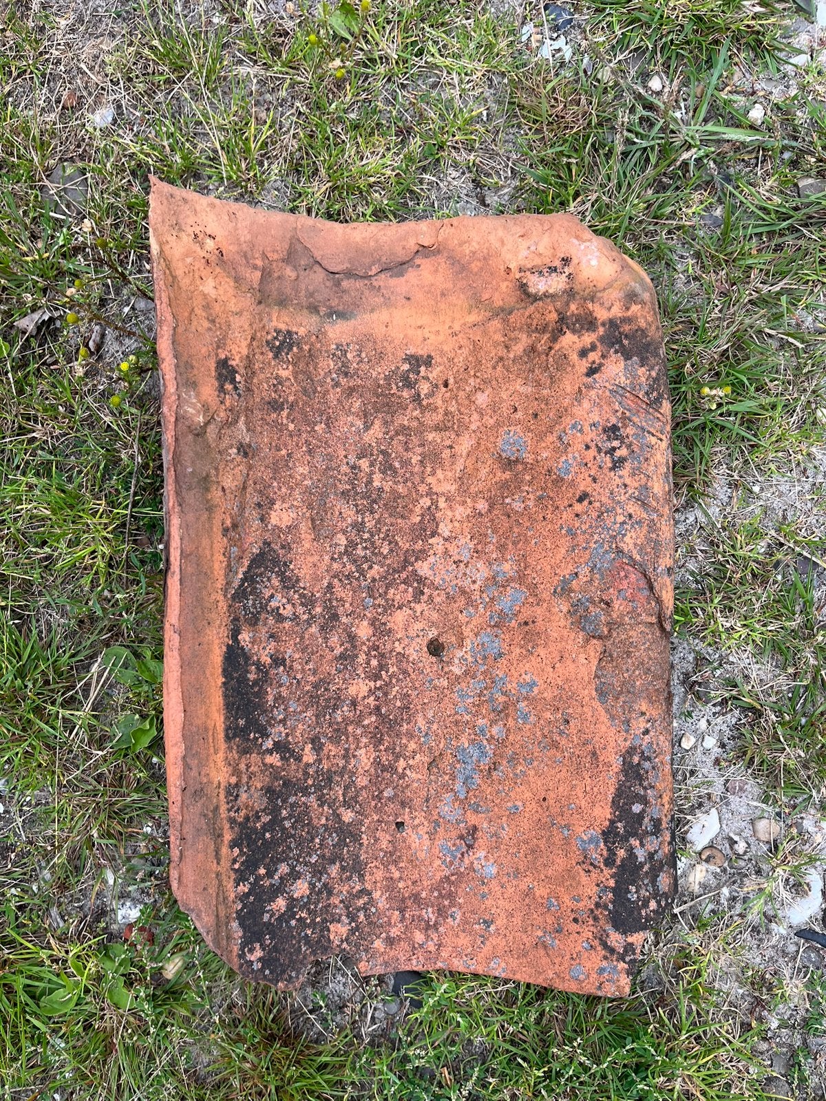 Dakpannen roden 1,5 krat, Ophalen, Gebruikt, Steen of Klei, 15 m² of meer
