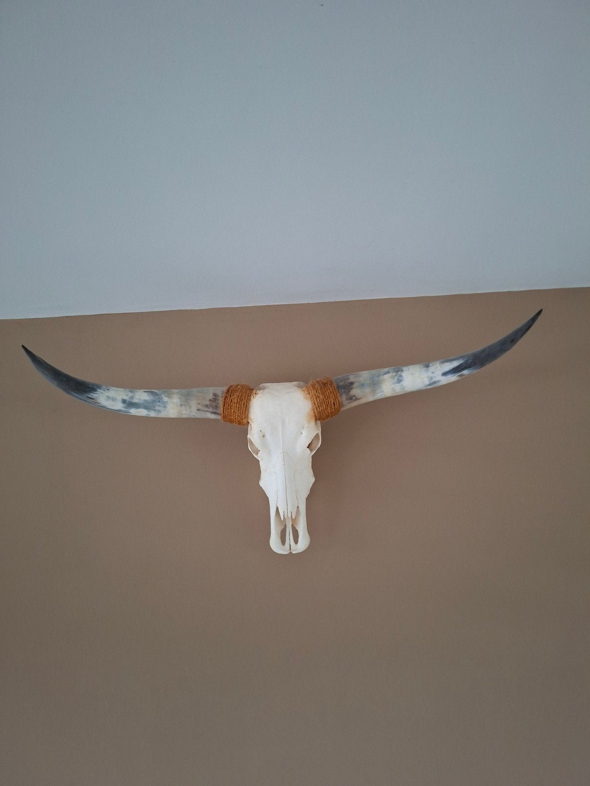 Decoratieve Longhorn Skull, Ophalen, Natuurlijk materiaal, Wit, Landelijk