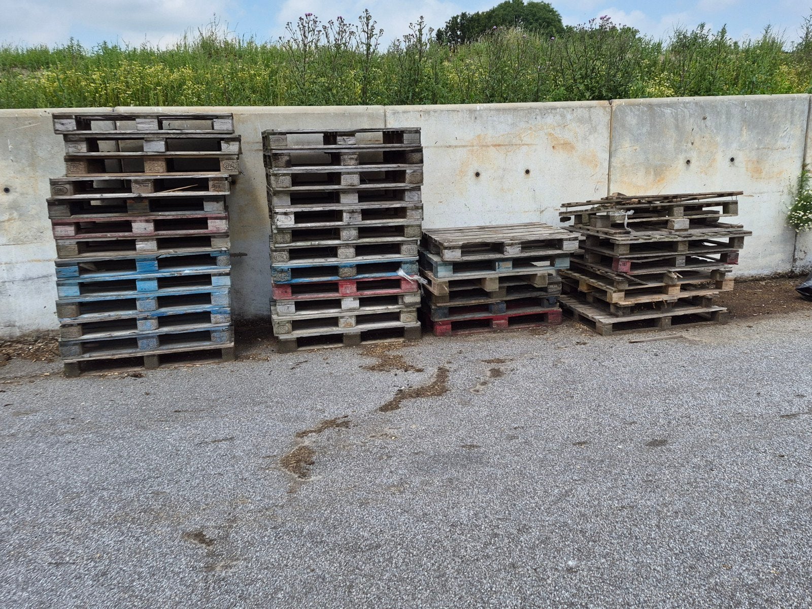 Diverse gebruikte pallets te koop, Ophalen, Gebruikt, 50 mm of meer, Pallet