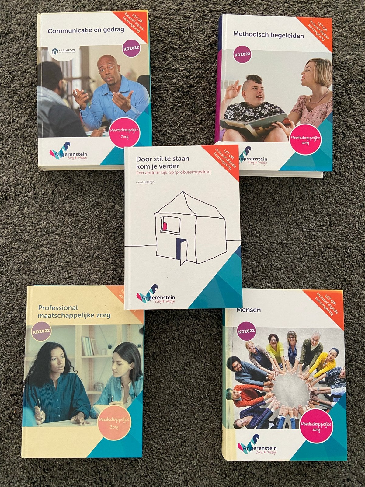 Schoolboeken Maatschappelijke Zorg boeken MBO - Angerenstein, Ophalen of Verzenden, Gamma, Zo goed als nieuw, MBO