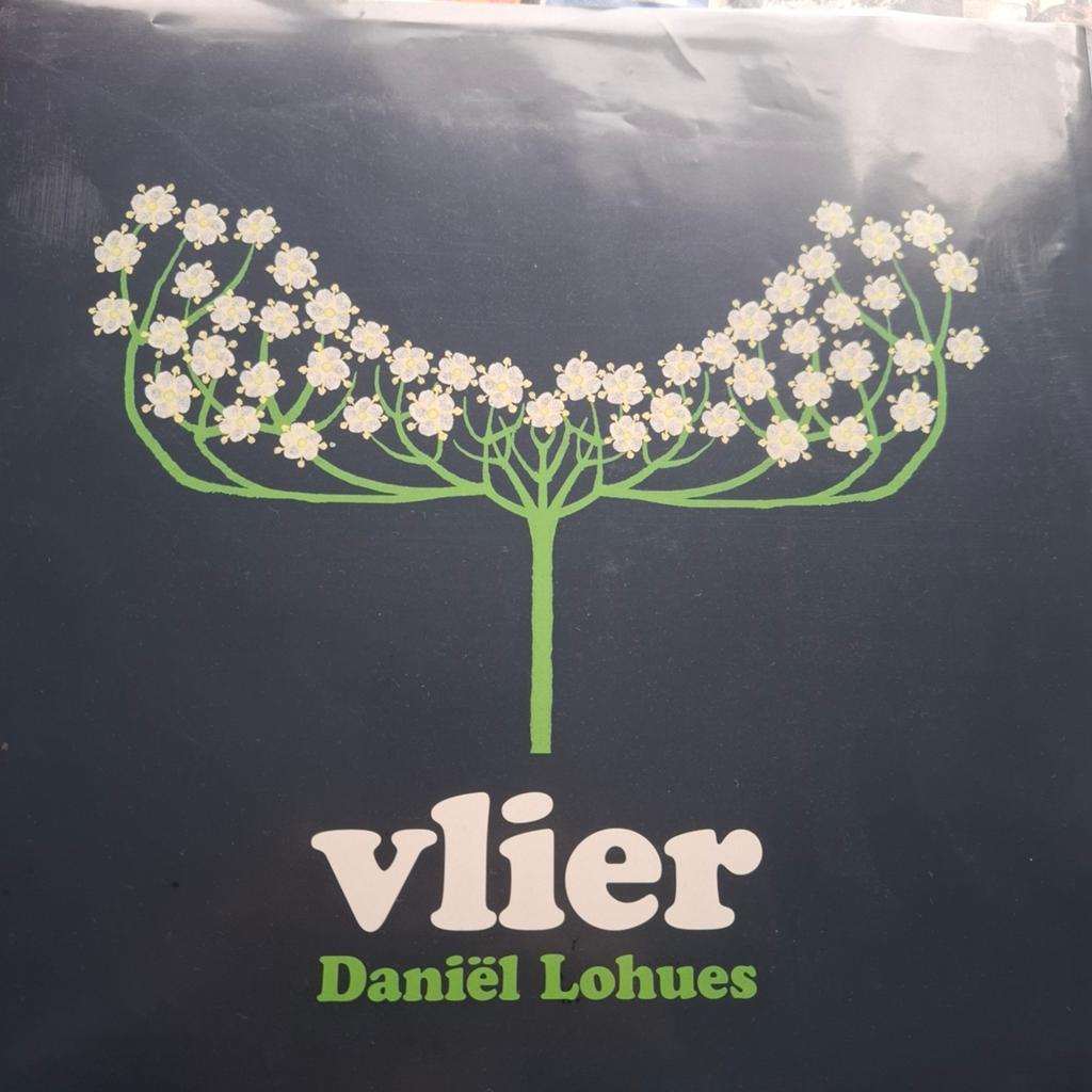 Daniël Lohues - Vlier (Dubbel LP), 2010 - 2019, Ophalen of Verzenden, 12 inch, Streekmuziek