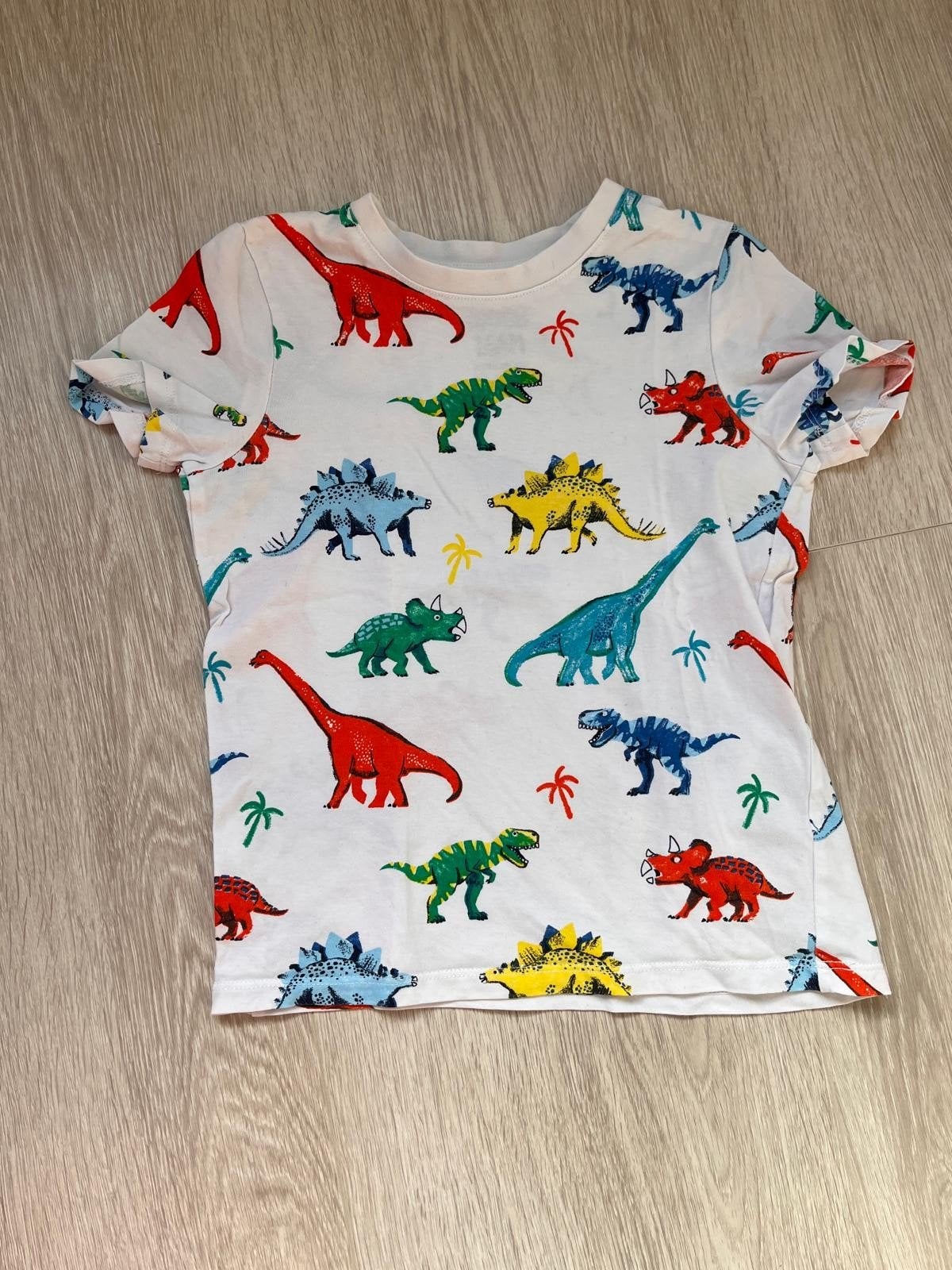 T-shirt met dinosaurusprint - Maat 116 (6 jaar), Ophalen, Gebruikt, Shirt of Longsleeve, Jongen