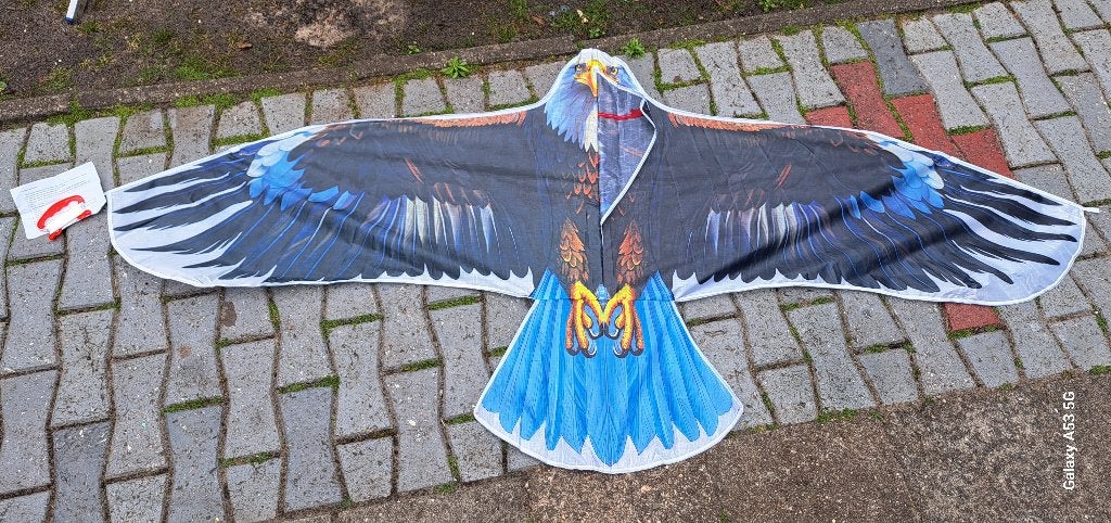 Te koop grote vogel vlieger spen 150 cm lengte 70 cm, Ophalen of Verzenden, Nieuw