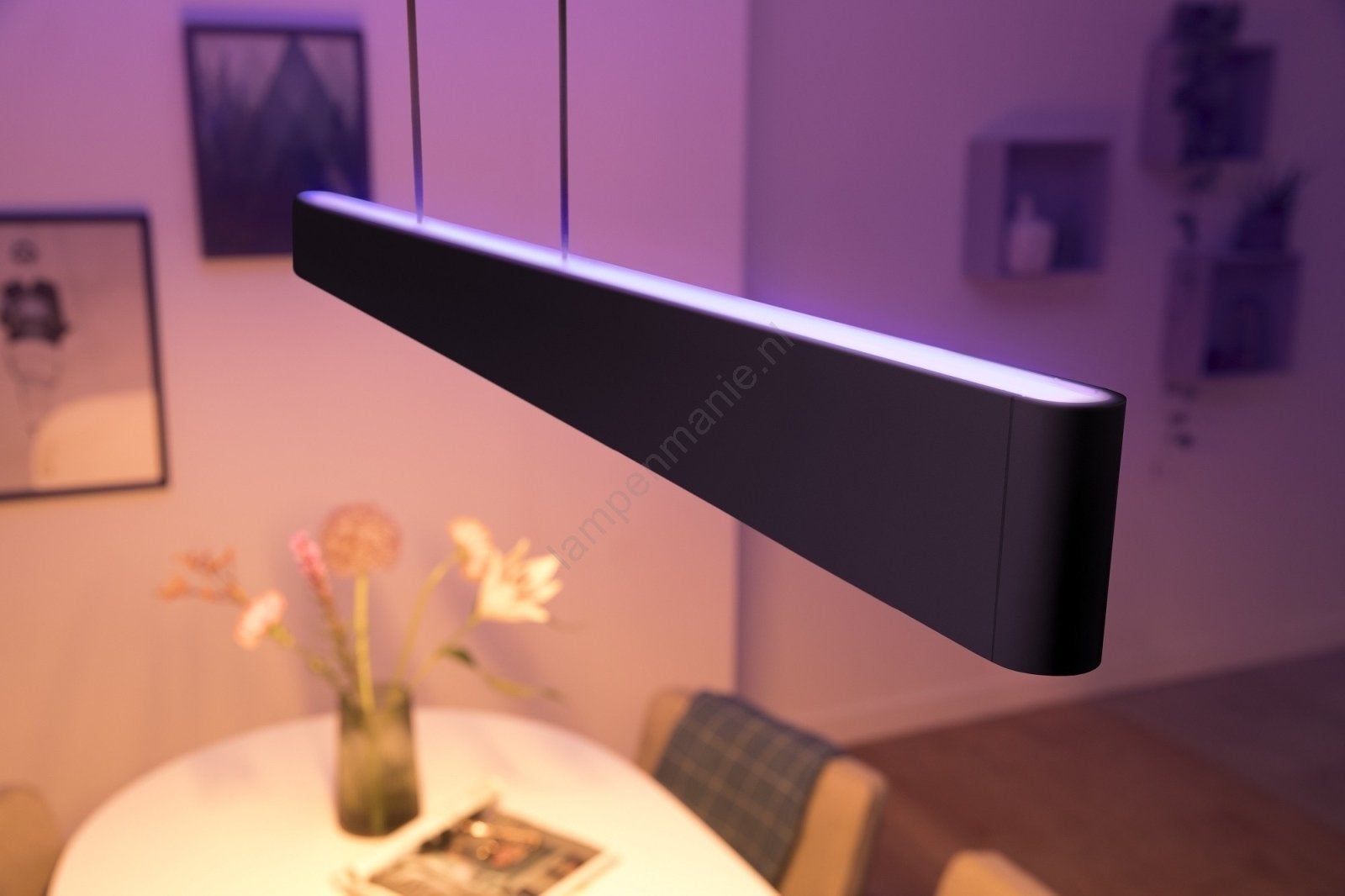 Philips Hue Ensis hanglamp - Zwart, zo goed als nieuw, Ophalen, Zo goed als nieuw, Metaal
