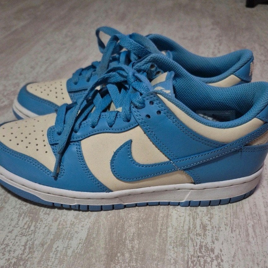 Nike Dunk Low - Maat 38,5, Kleding | Dames, Blauw, Nike, Ophalen of Verzenden, Sneakers of Gympen