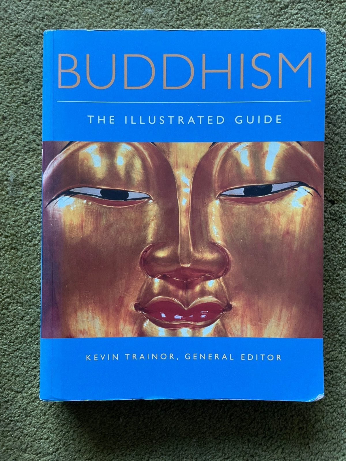 Buddhism - the illustrated guide, Ophalen of Verzenden, Zo goed als nieuw