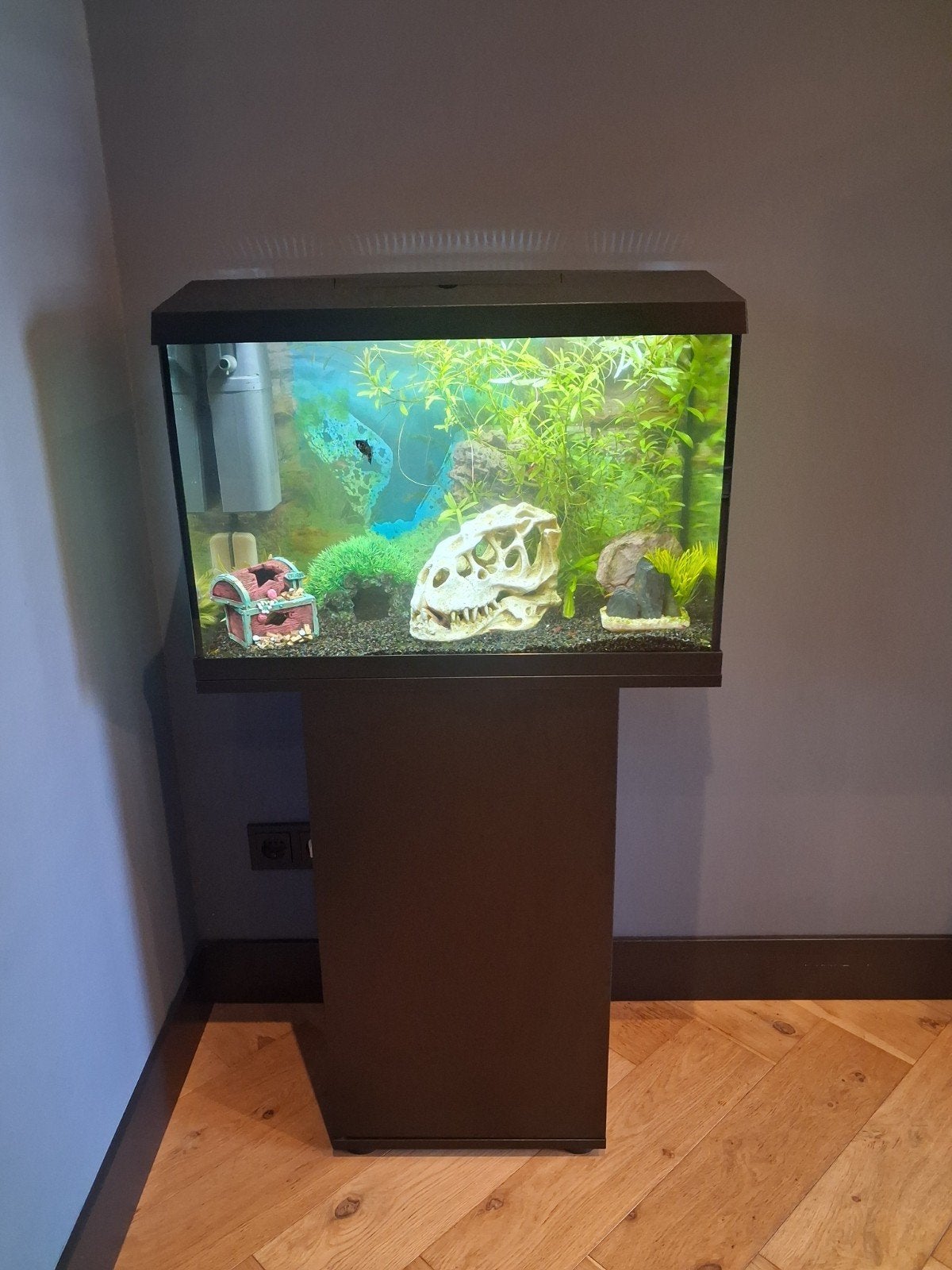 aquarium met kast, Zo goed als nieuw, Leeg aquarium, Juwel, Ophalen