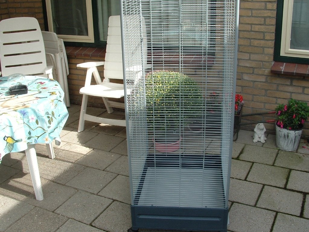 Kamer Voliere, Ophalen, Nieuw, Metaal, Volière