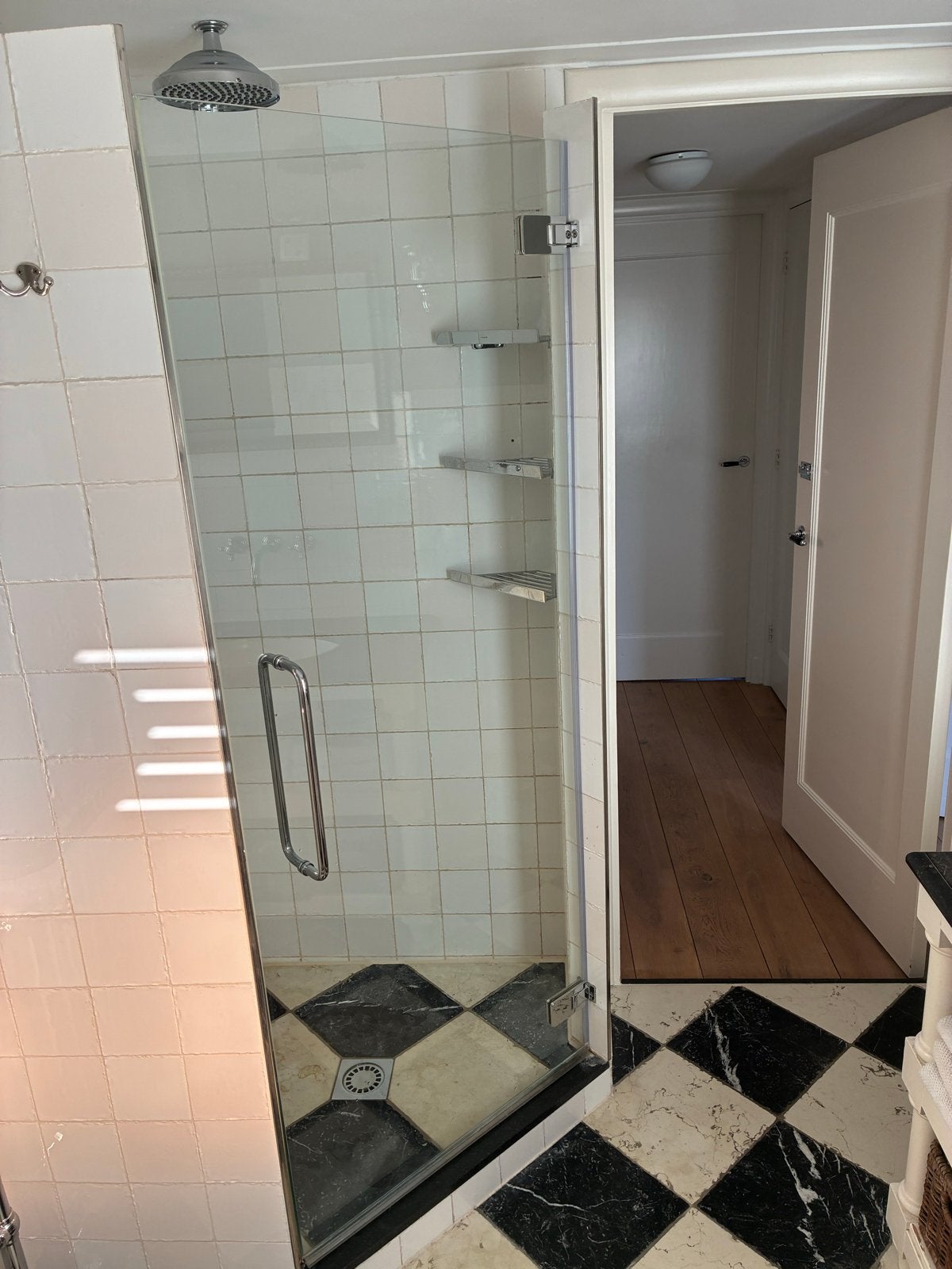 Douchedeur AFM - 77x184 cm - reeds gedemonteerd, Ophalen, Gebruikt, Glas, Douche
