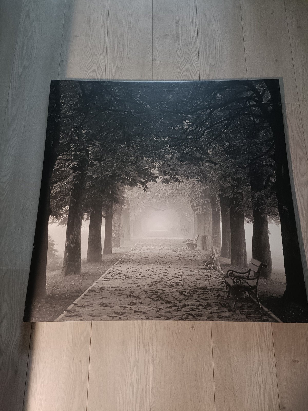 IKEA PJÄTTERYD Schilderij 'Bomenlaan' 90x90 cm, Ophalen, Gebruikt, Print, 75 tot 100 cm