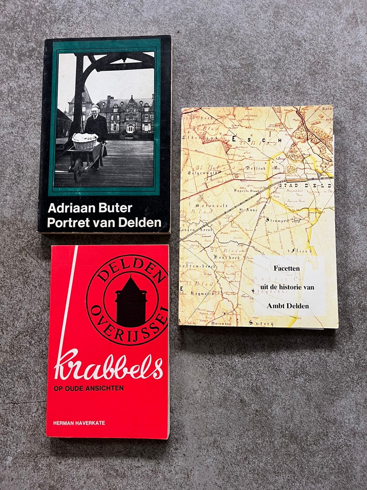 Geschiedenis van Delden, Ophalen of Verzenden, Gelezen