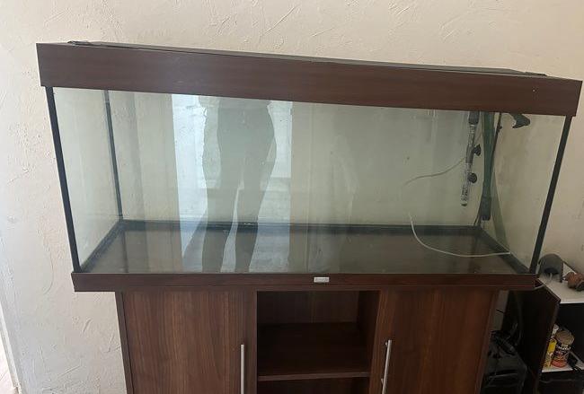 Juwel Rio 240 ( Meubel is al verkocht ), Dieren en Toebehoren, Vissen | Aquaria en Toebehoren, Ophalen, Verwarming, Gebruikt, Gevuld zoetwateraquarium