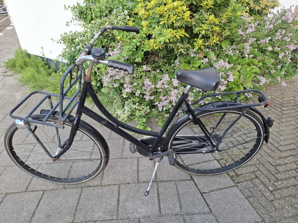 Damesfiets, Terugtraprem, Ophalen, Overige merken, 53 tot 56 cm