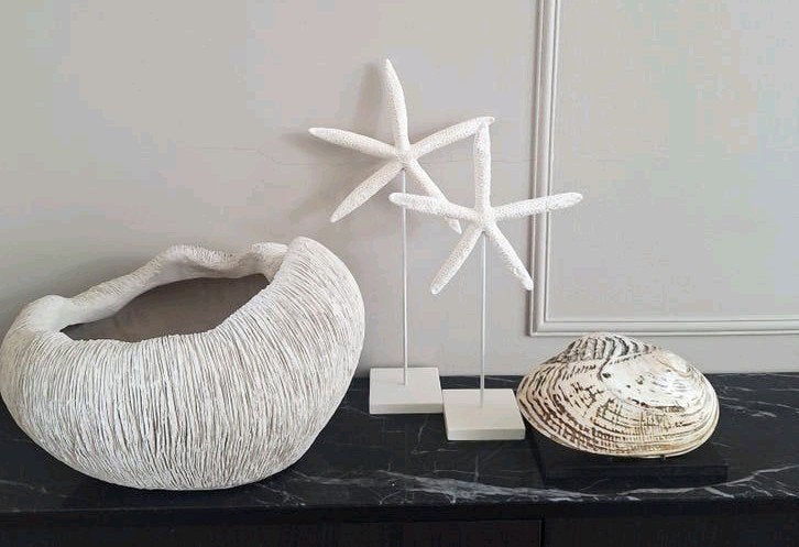 Nieuwe woonaccessoires creme wit zwart schelp zeesterren, Beige, Nieuw, Ophalen of Verzenden, X