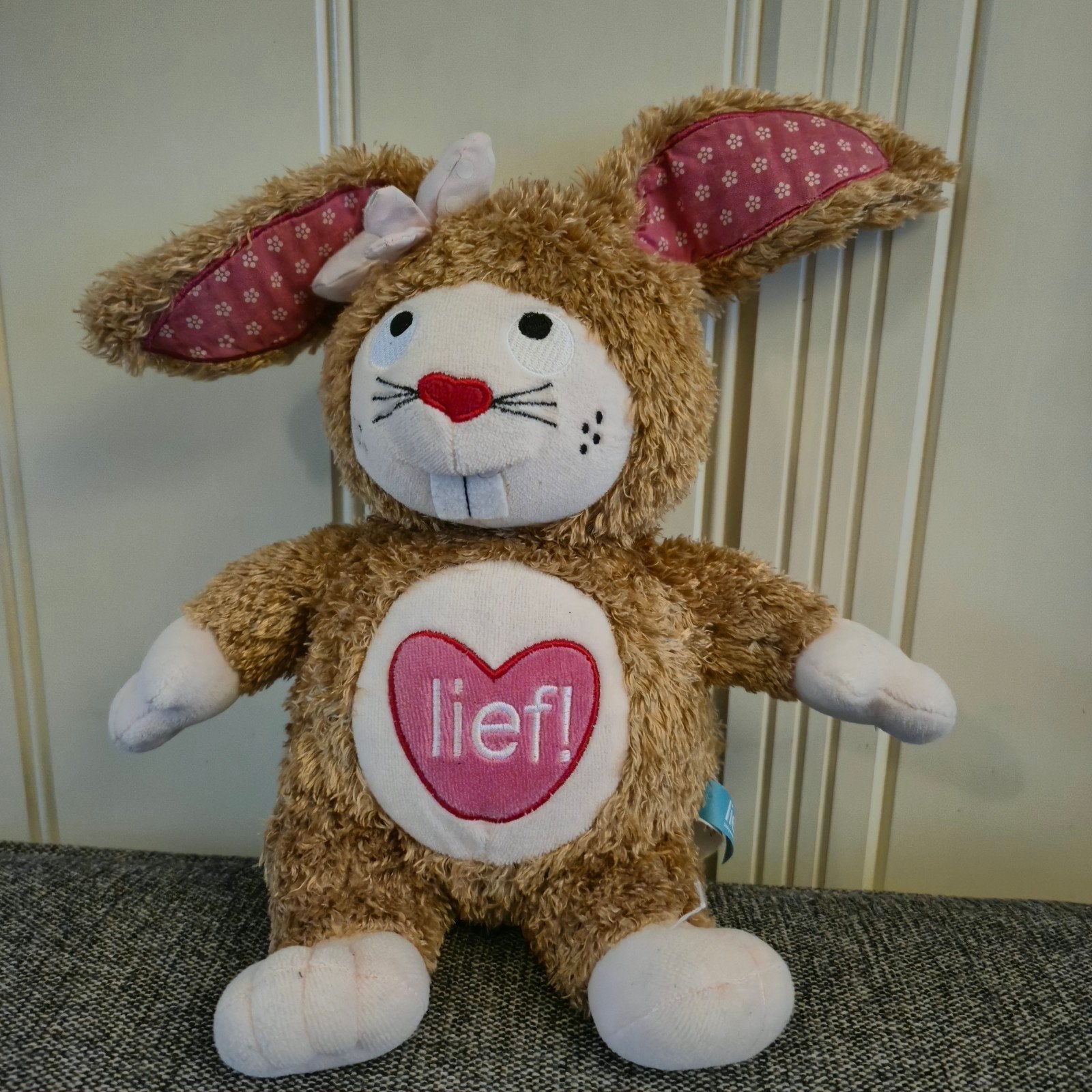 163.  Lief Lifestyle Konijn Knuffel 23cm, Gebruikt, Overige merken, Konijn, Ophalen of Verzenden