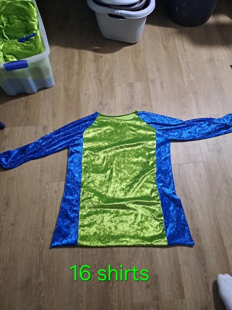 Carnavalskleding, Kleding | Dames, Carnavalskleding en Feestkleding, Gedragen, Kleding, Carnaval, Ophalen